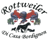 Allevamento Rottweiler Di Casa Bordignon